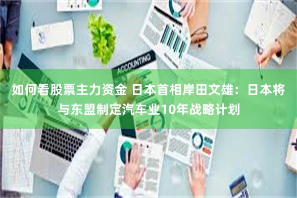 如何看股票主力资金 日本首相岸田文雄：日本将与东盟制定汽车业10年战略计划