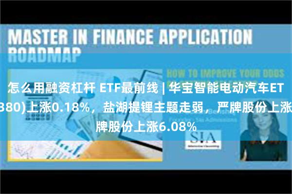 怎么用融资杠杆 ETF最前线 | 华宝智能电动汽车ETF(516380)上涨0.18%，盐湖提锂主题走弱，严牌股份上涨6.08%