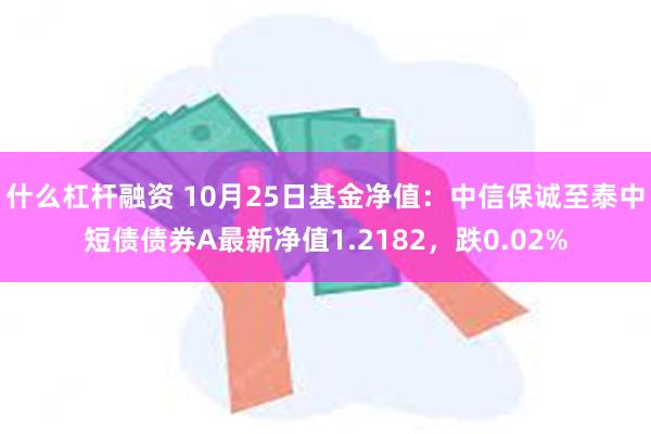 什么杠杆融资 10月25日基金净值：中信保诚至泰中短债债券A最新净值1.2182，跌0.02%