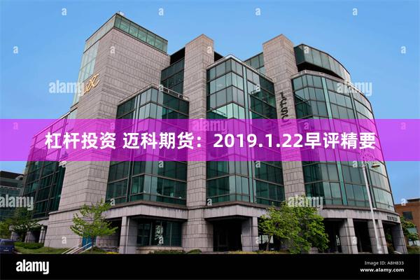 杠杆投资 迈科期货：2019.1.22早评精要