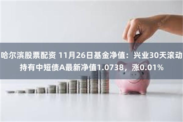 哈尔滨股票配资 11月26日基金净值：兴业30天滚动持有中短债A最新净值1.0738，涨0.01%