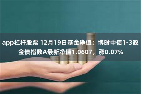 app杠杆股票 12月19日基金净值：博时中债1-3政金债指数A最新净值1.0607，涨0.07%