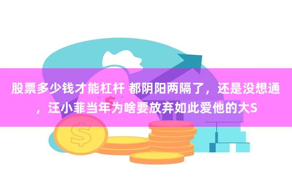 股票多少钱才能杠杆 都阴阳两隔了，还是没想通，汪小菲当年为啥要放弃如此爱他的大S