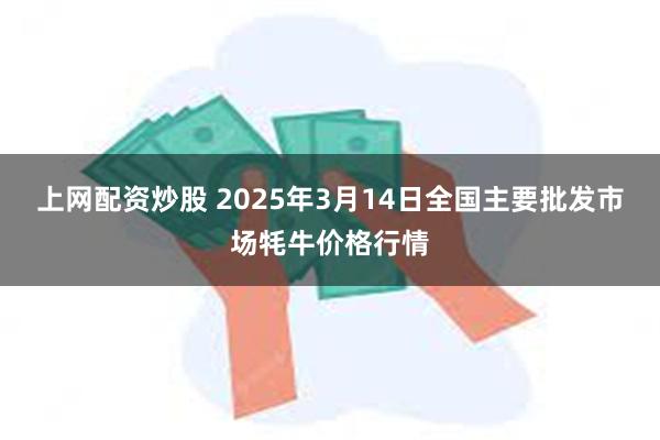 上网配资炒股 2025年3月14日全国主要批发市场牦牛价格行情