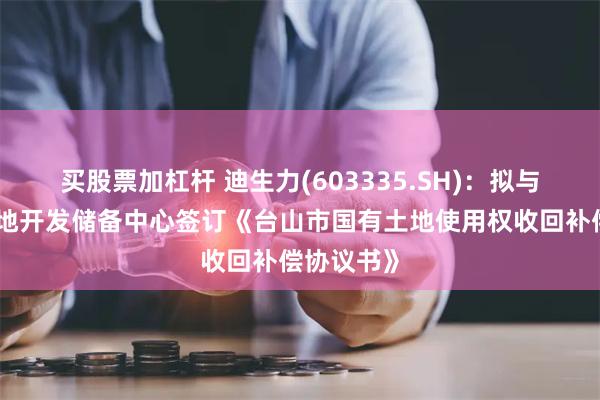 买股票加杠杆 迪生力(603335.SH)：拟与台山市土地开发储备中心签订《台山市国有土地使用权收回