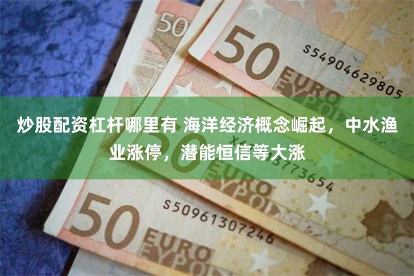 炒股配资杠杆哪里有 海洋经济概念崛起，中水渔业涨停，潜能恒信等大涨